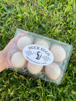 Duck Eggs from Suncrest Farm ( LOCAL)- 1/2 dozen