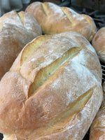 Fresh Baked Breads