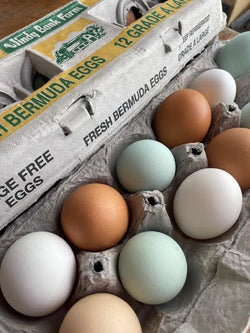 Eggs Colored- ( large)-  LOCAL