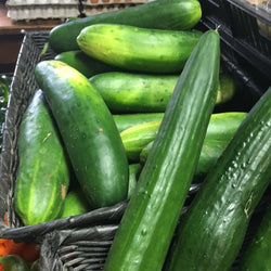 Cucumber - LOCAL