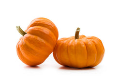 Halloween Pumpkins & Gourds