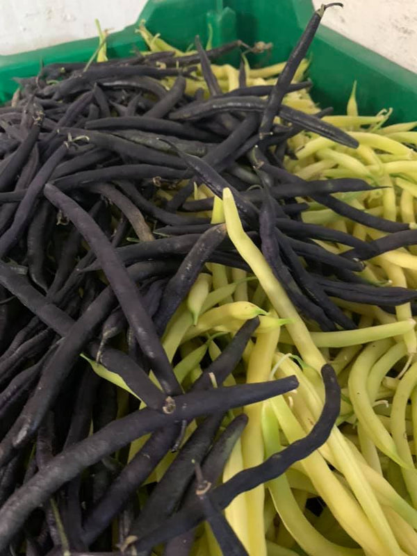 Green  Beans (bag)