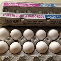 Eggs (Jumbo)- LOCAL