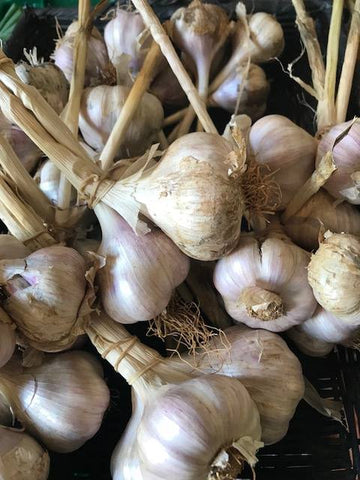 Garlic (piece) -LOCAL