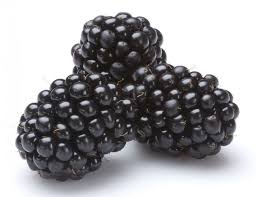 Blackberries- pack