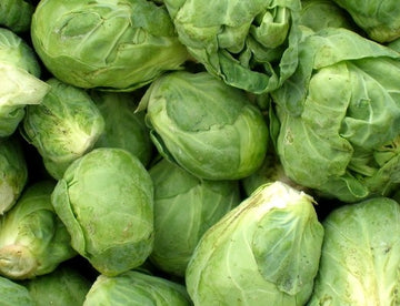 Brussel Sprouts (carton)