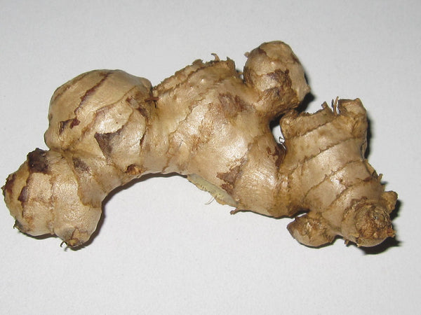 Ginger( order by piece/ priced per Lb)