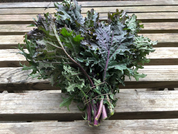 Kale ( Bunch)- LOCAL