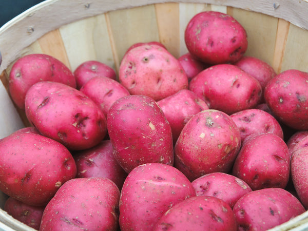Red  Potato's (5 Pound bag)