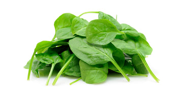 Spinach (carton)