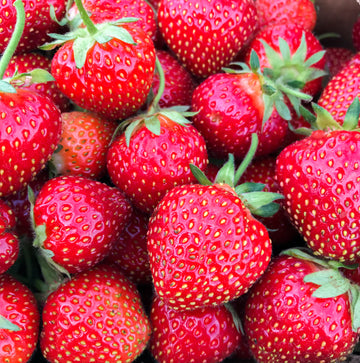 Strawberries (carton)