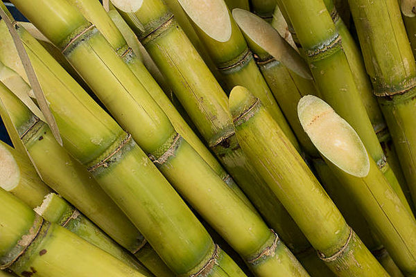 Sugarcane ( Piece/Stick)- LOCAL