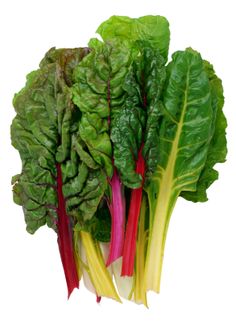 Swiss Chard- Bunch- LOCAL